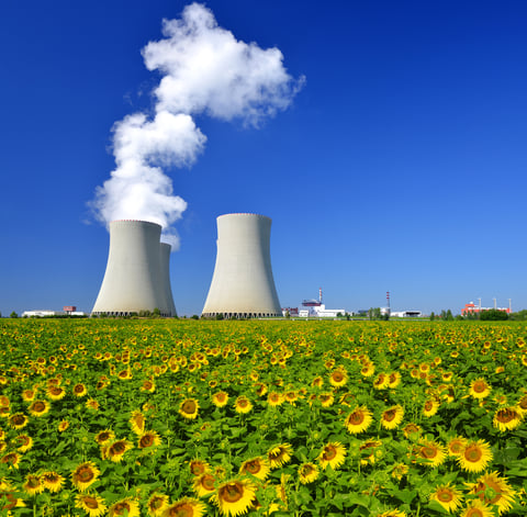 The French electricity capacity market