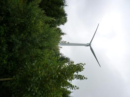 Renewable energy: made in Germany