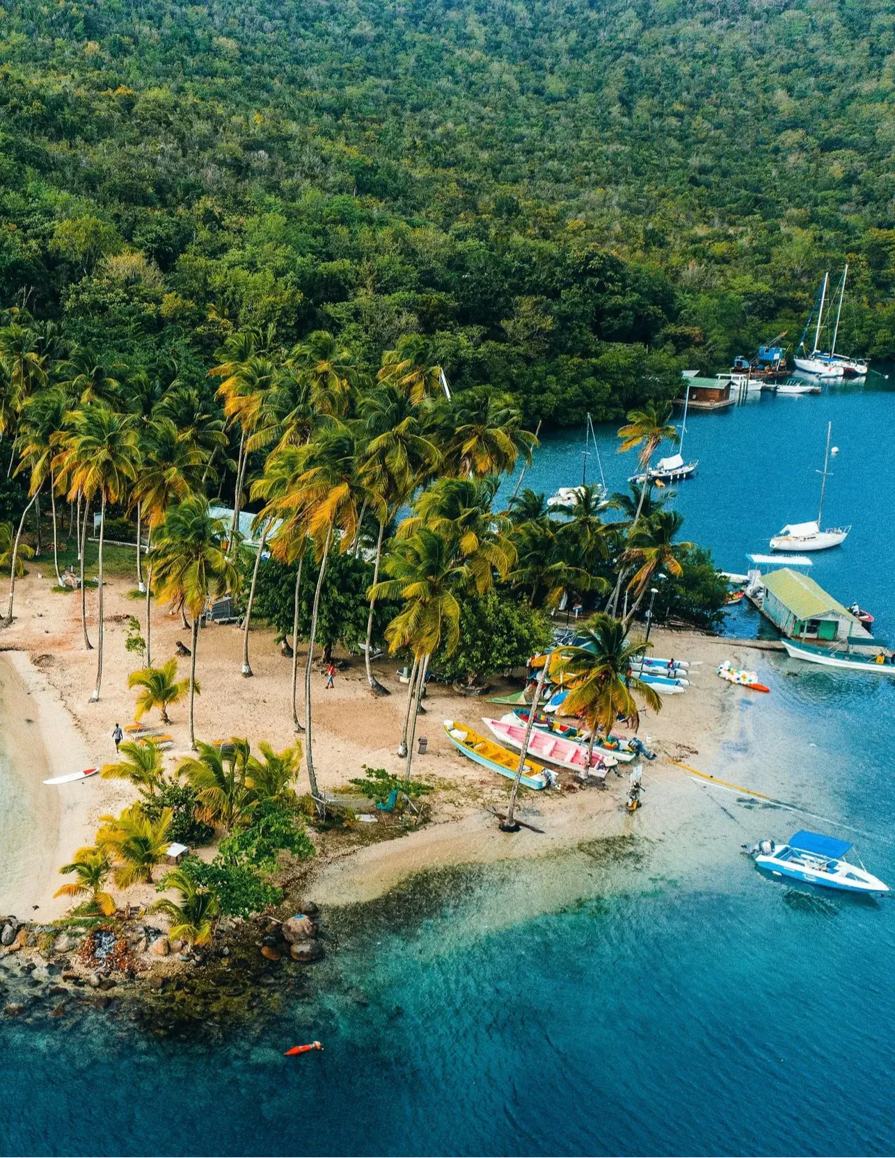 Carbon in the caribbean