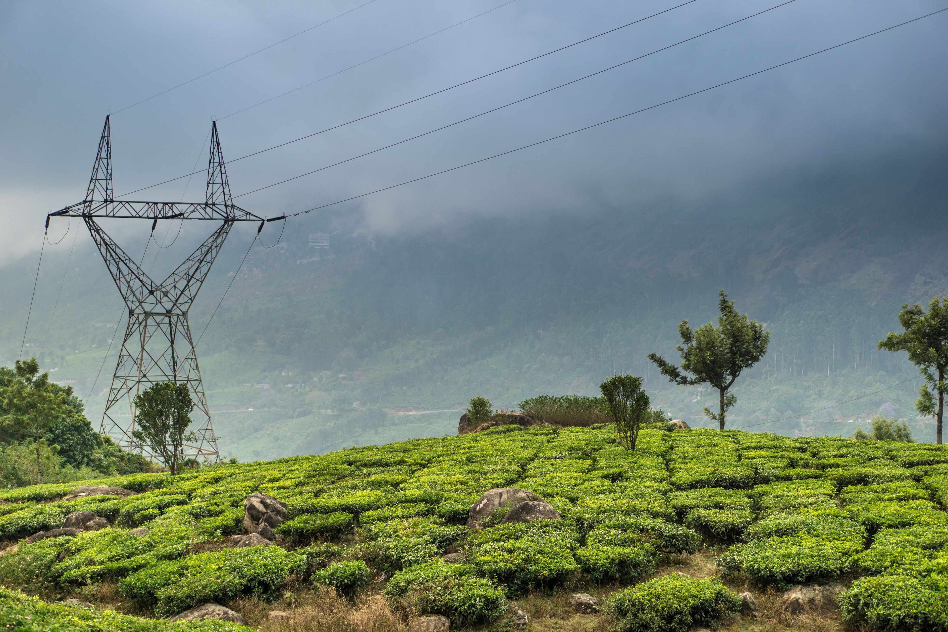 India electricity futures