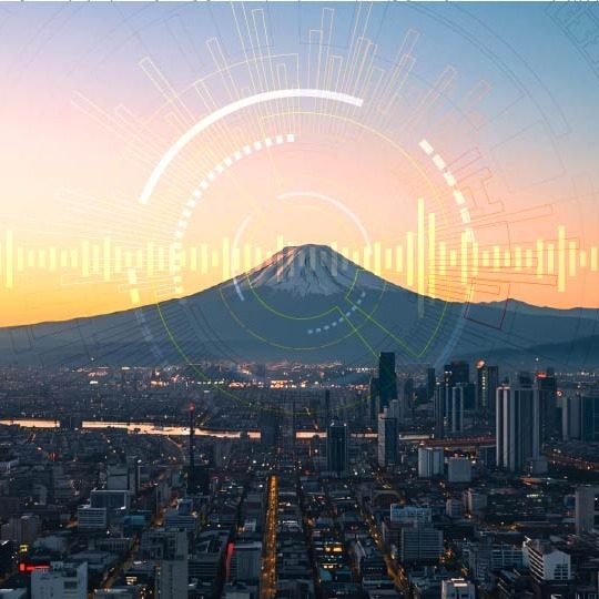 Strategic Procurement in Japan: Managing Risk Beyond the Basics