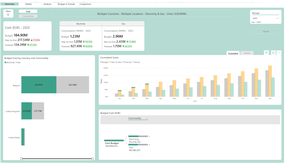 Data-budgeting-forecasting-report