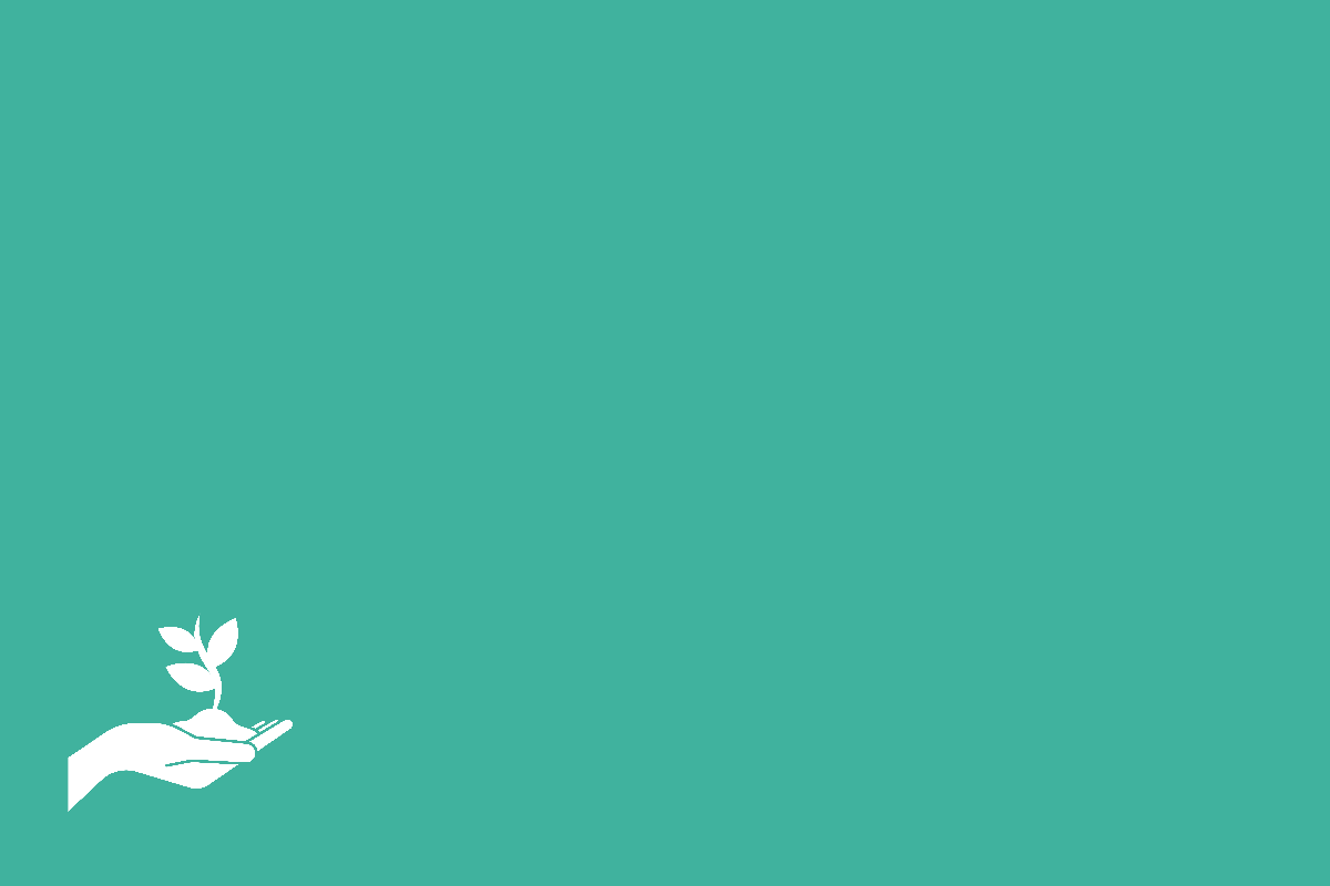 Sustainability and Energy Transition news