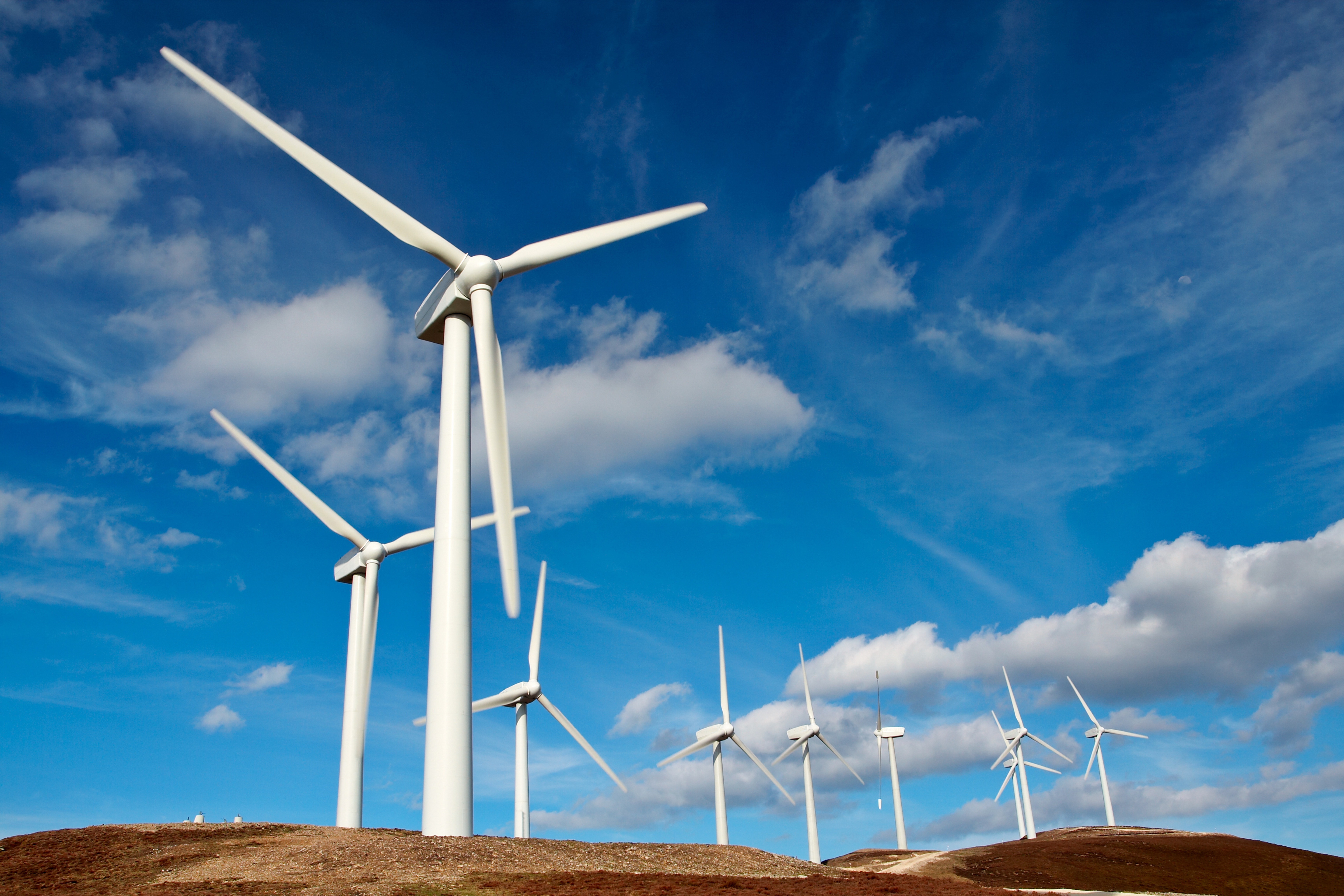 Should you make or buy green electricity?